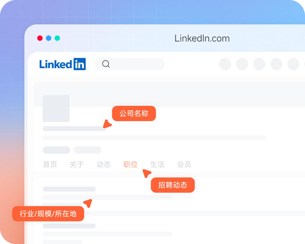LinkedIn 公司数据采集工具界面预览